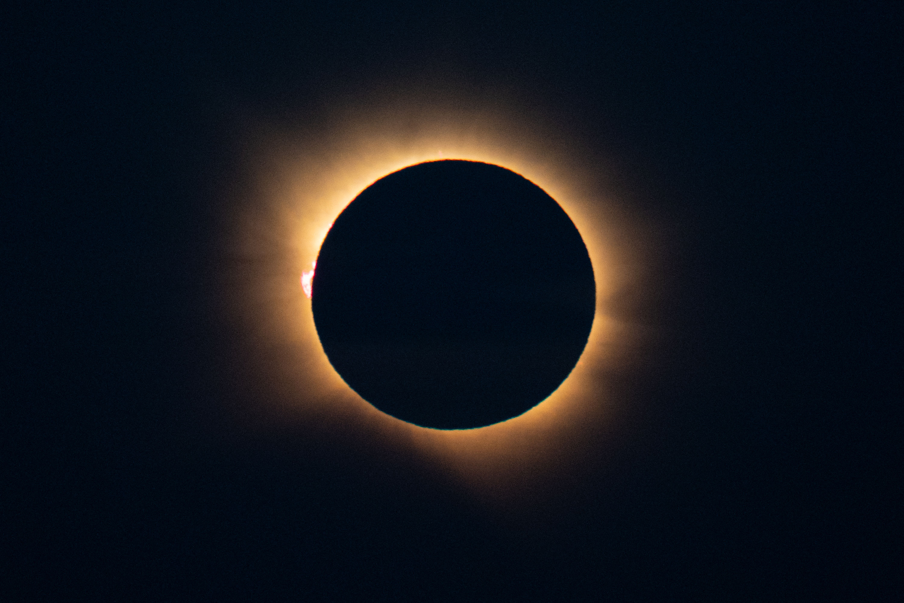 Totality. The black disc of the moon ringed by the sun's corona, with pink prominences at the edge.